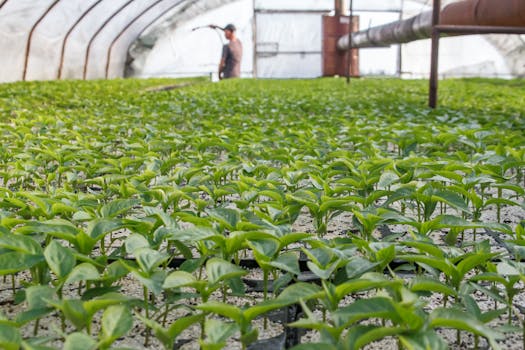 Understanding Slot Machine Addiction: The Role of Psychology and Prevention